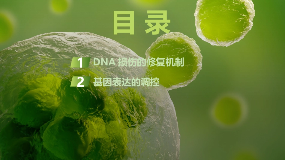 2026创新设计高考总复习生物（人教版）复习讲义-微专题13　DNA损伤的修复机制与基因表达调控.pptx_第3页