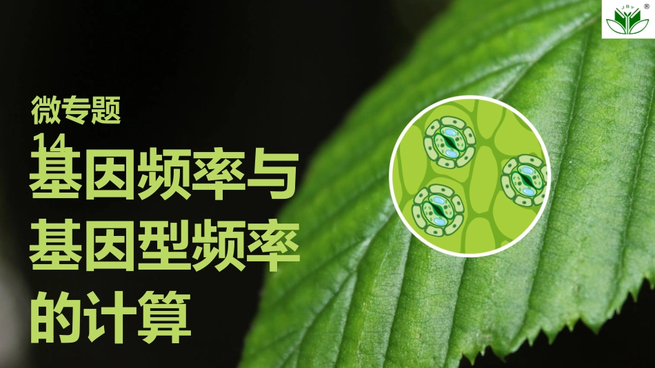 2026创新设计高考总复习生物（人教版）复习讲义-微专题14　基因频率与基因型频率的计算.pptx_第1页