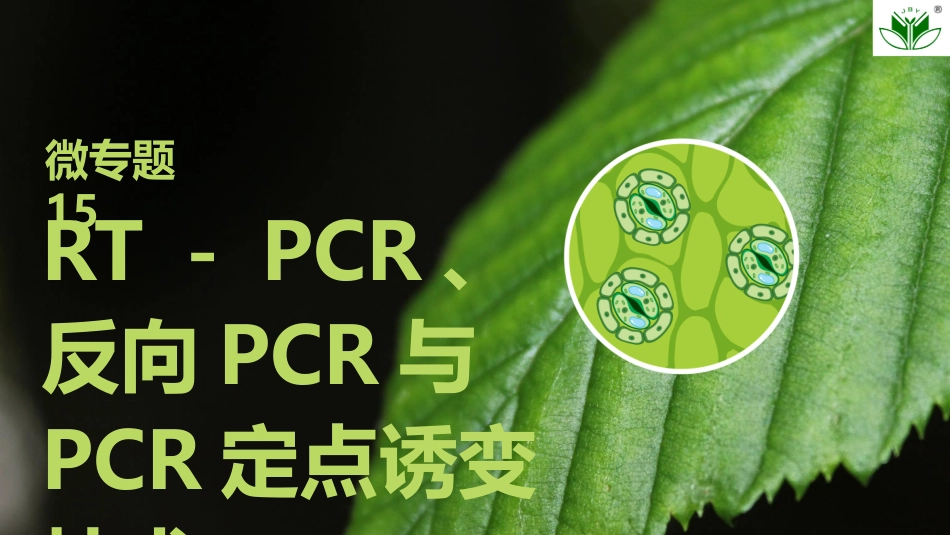 2026创新设计高考总复习生物（人教版）复习讲义-微专题15　RT－PCR、反向PCR与PCR定点诱变技术.pptx_第1页