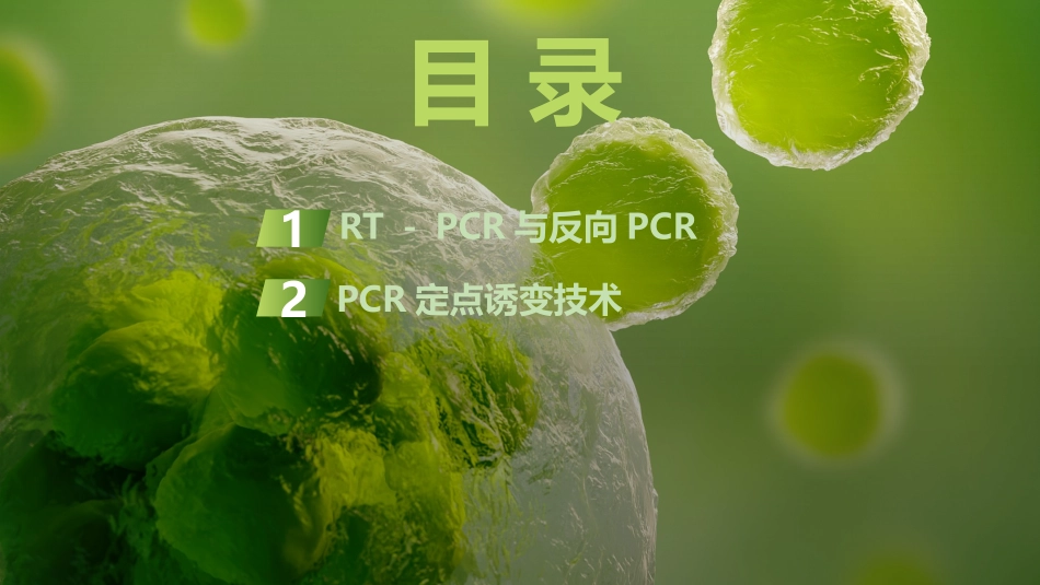 2026创新设计高考总复习生物（人教版）复习讲义-微专题15　RT－PCR、反向PCR与PCR定点诱变技术.pptx_第3页