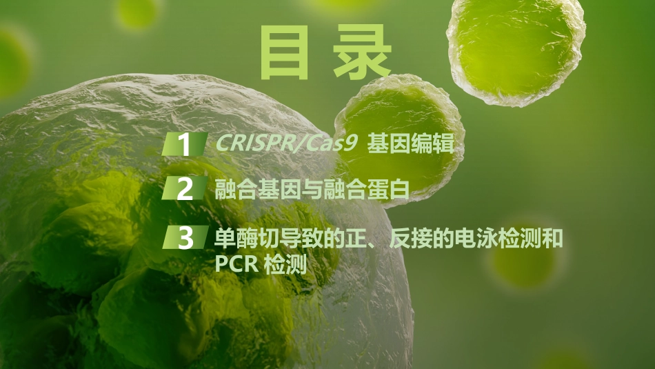 2026创新设计高考总复习生物（人教版）复习讲义-微专题16　CRISPRCas9基因编辑、融合基因与融合蛋白、单酶切导致的正、反接的电泳检测和PCR检测.pptx_第3页
