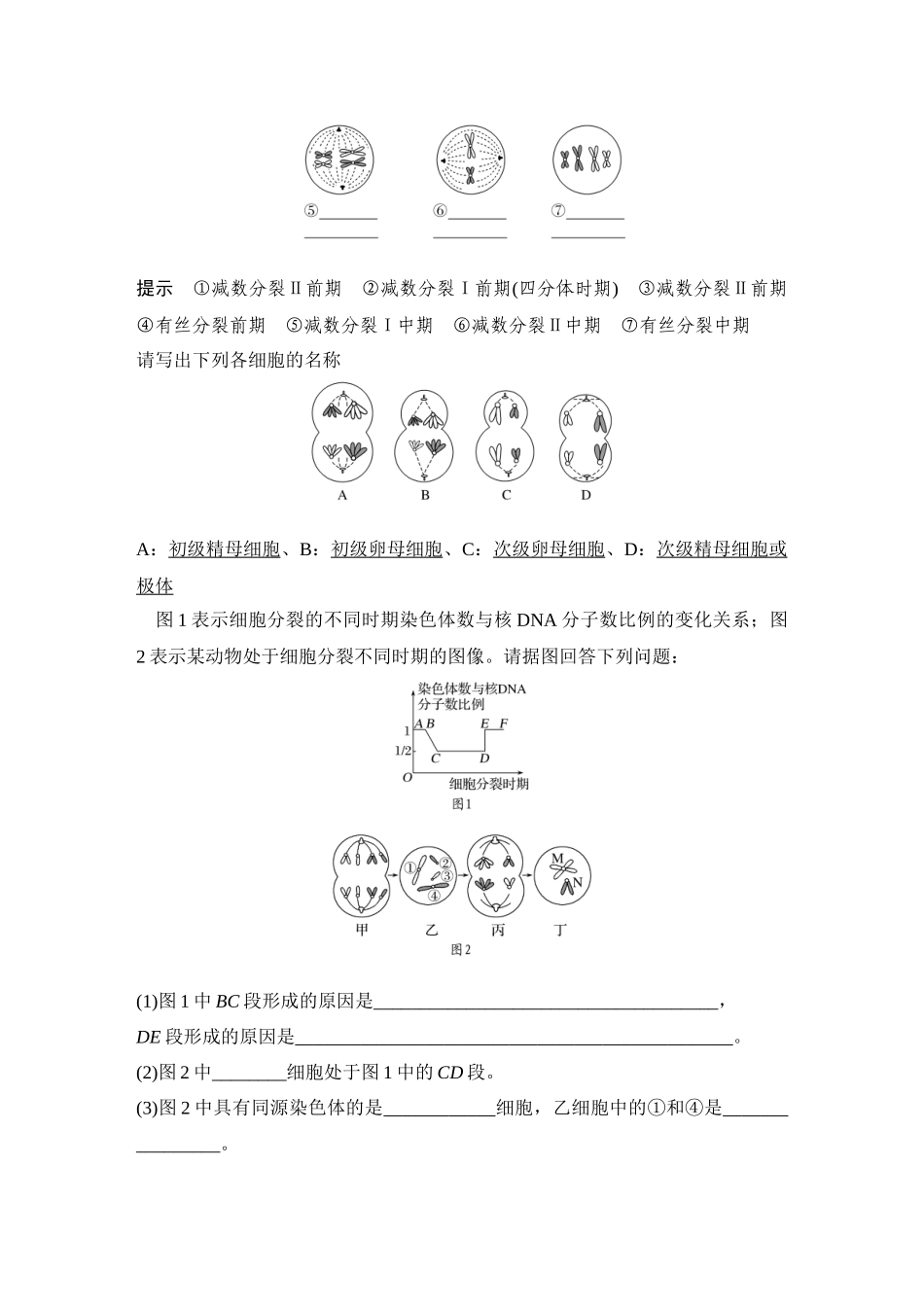 2026创新设计高考总复习生物（人教版）教师用-第16课时  减数分裂与有丝分裂的比较.docx_第2页