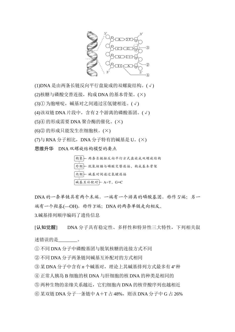 2026创新设计高考总复习生物（人教版）教师用-第23课时  DNA的结构、复制及基因的本质.docx_第2页
