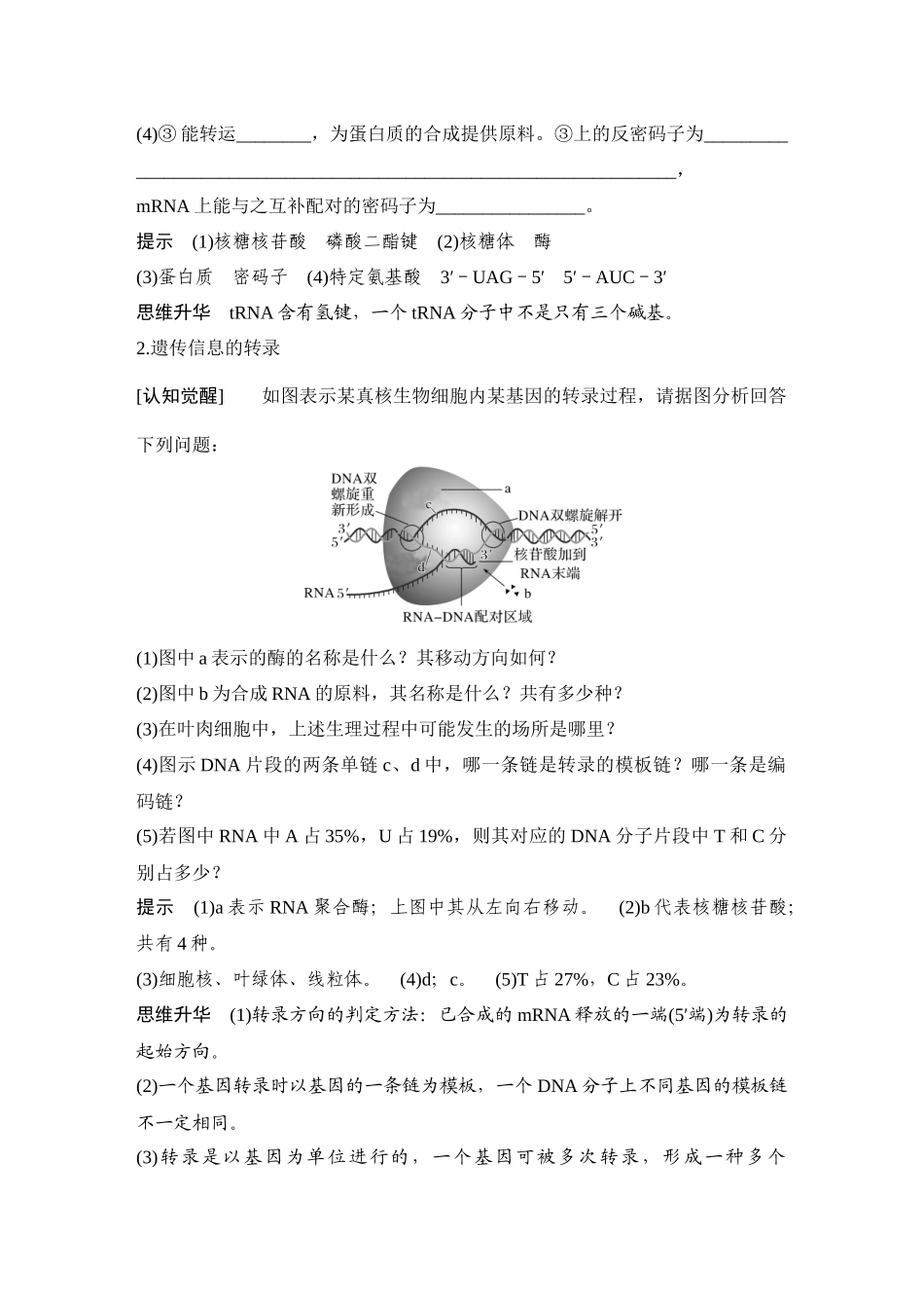 2026创新设计高考总复习生物（人教版）教师用-第24课时  基因的表达.docx_第2页