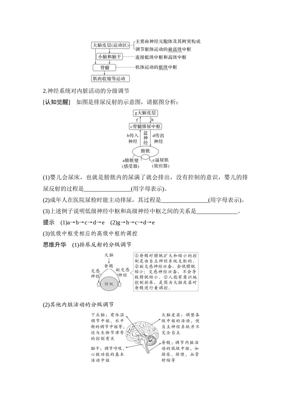 2026创新设计高考总复习生物（人教版）教师用-第32课时  神经系统的分级调节及人脑的高级功能.docx_第2页