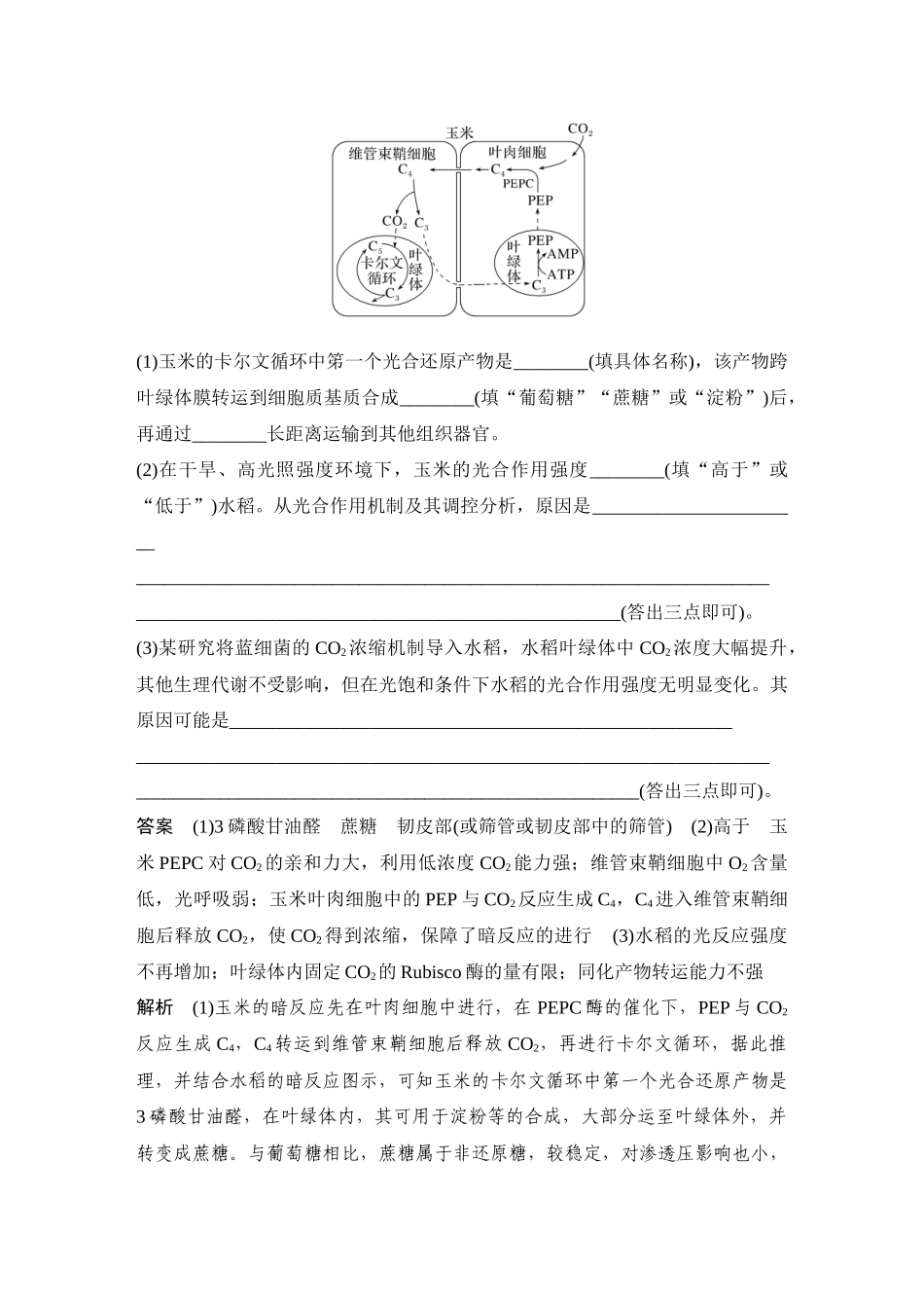 2026创新设计高考总复习生物（人教版）教师用-微专题6  光呼吸、C4植物、CAM植物等特殊代谢类型.docx_第2页