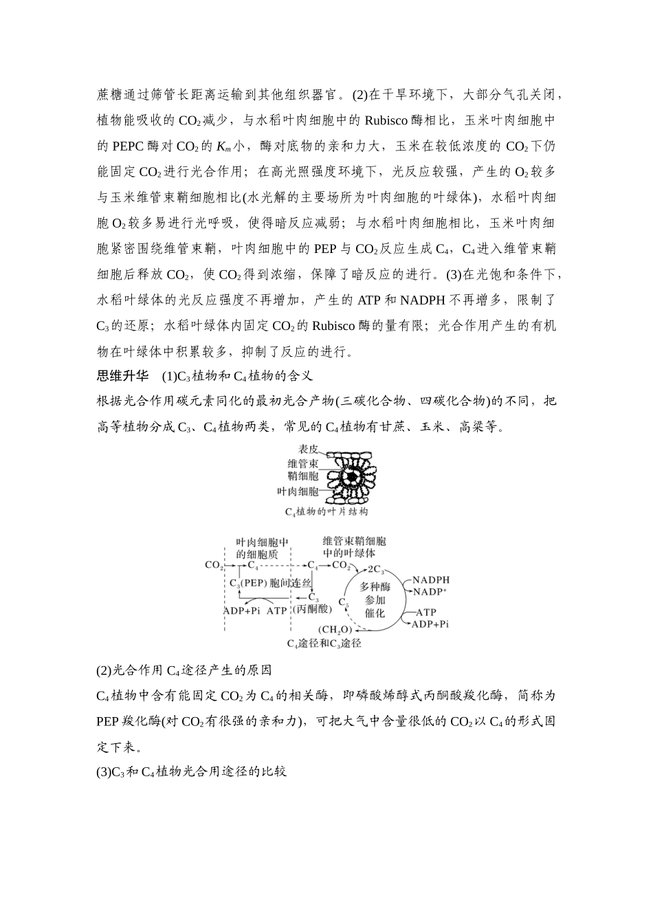 2026创新设计高考总复习生物（人教版）教师用-微专题6  光呼吸、C4植物、CAM植物等特殊代谢类型.docx_第3页