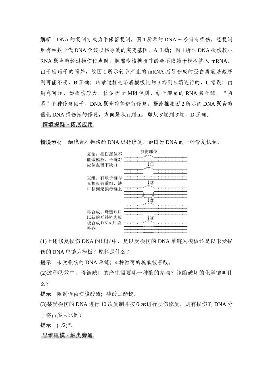 2026创新设计高考总复习生物（人教版）教师用-微专题13  DNA损伤的修复机制与基因表达调控.docx_第2页