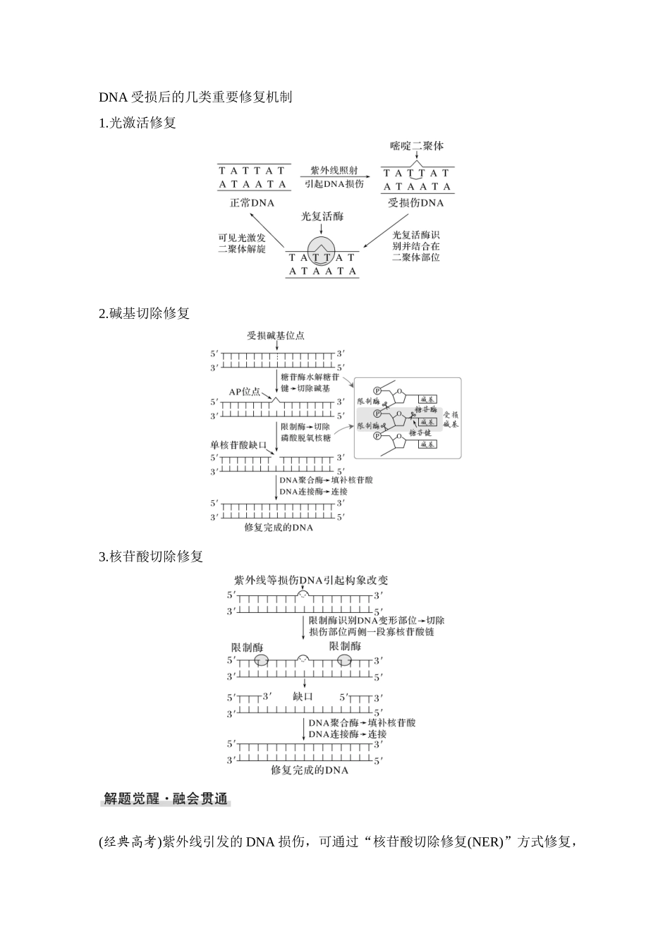 2026创新设计高考总复习生物（人教版）教师用-微专题13  DNA损伤的修复机制与基因表达调控.docx_第3页