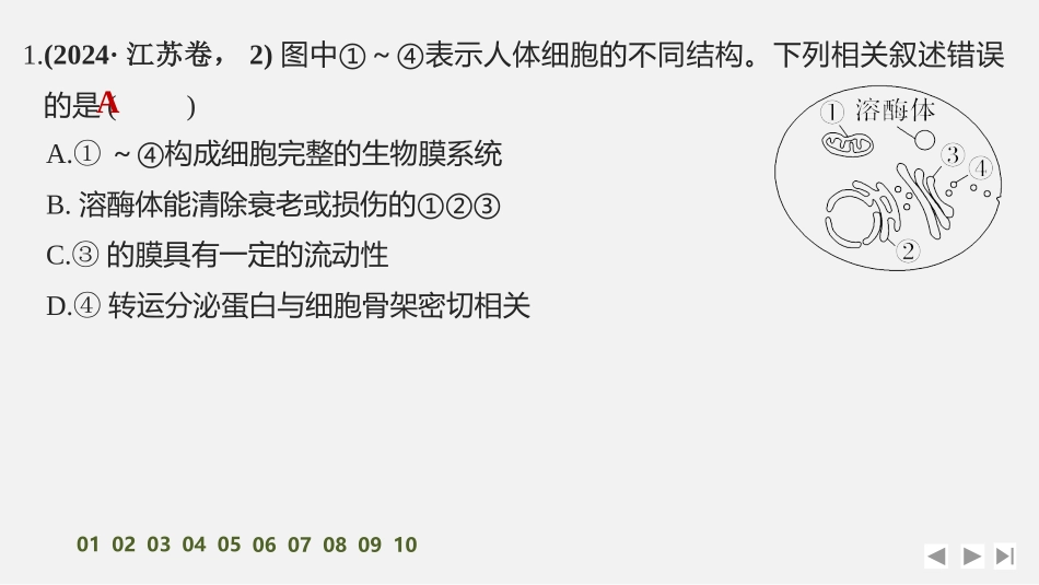 2026创新设计高考总复习生物（人教版）强化练习-限时练5　细胞器之间的分工合作　.pptx_第2页