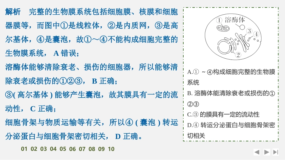2026创新设计高考总复习生物（人教版）强化练习-限时练5　细胞器之间的分工合作　.pptx_第3页