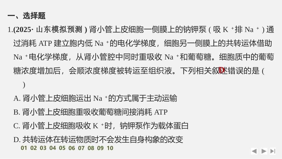 2026创新设计高考总复习生物（人教版）强化练习-限时练7　物质进出细胞的方式及影响因素　.pptx_第2页