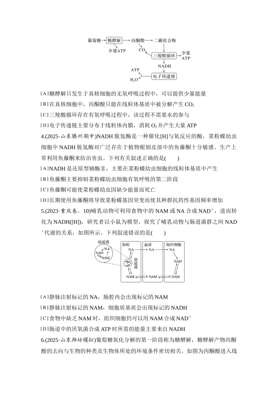 2026创新设计高考总复习生物（人教版）强化练习-限时练9  细胞呼吸的方式和过程.docx_第2页