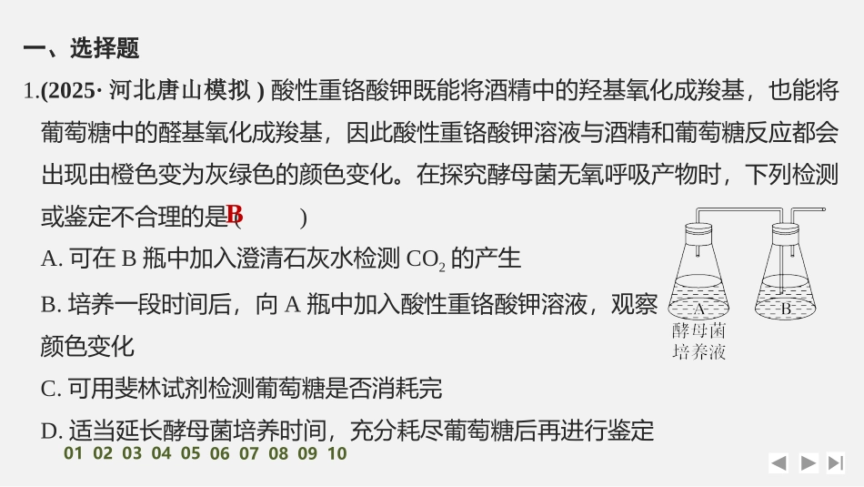 2026创新设计高考总复习生物（人教版）强化练习-限时练10　细胞呼吸的影响因素及其应用.pptx_第2页