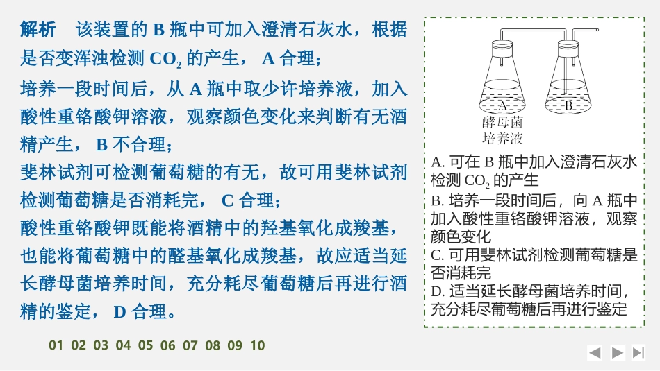2026创新设计高考总复习生物（人教版）强化练习-限时练10　细胞呼吸的影响因素及其应用.pptx_第3页