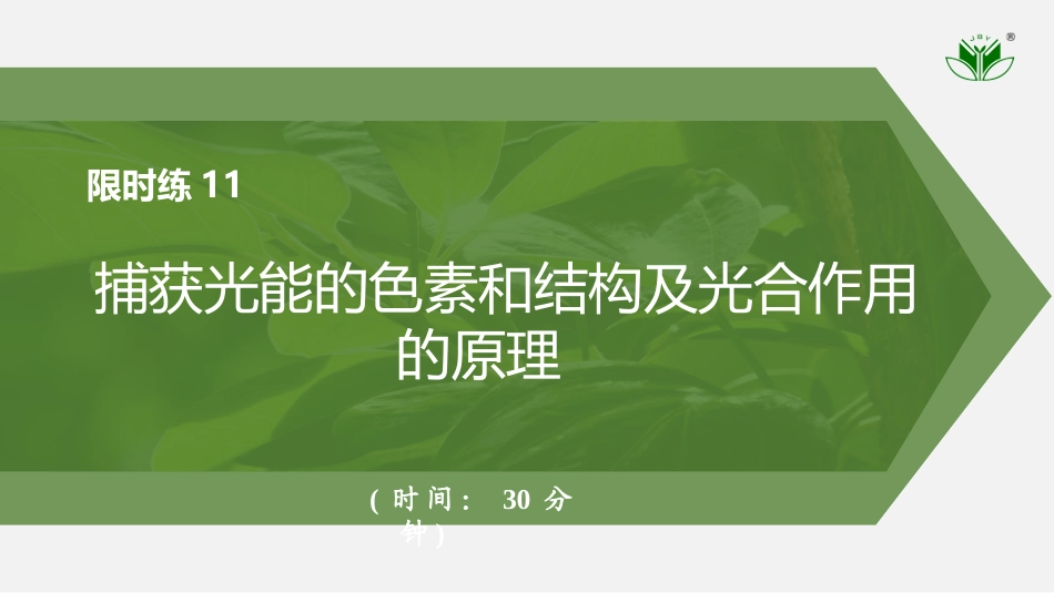 2026创新设计高考总复习生物（人教版）强化练习-限时练11　捕获光能的色素和结构及光合作用的原理.pptx_第1页
