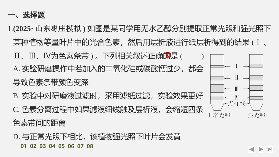 2026创新设计高考总复习生物（人教版）强化练习-限时练11　捕获光能的色素和结构及光合作用的原理.pptx_第2页