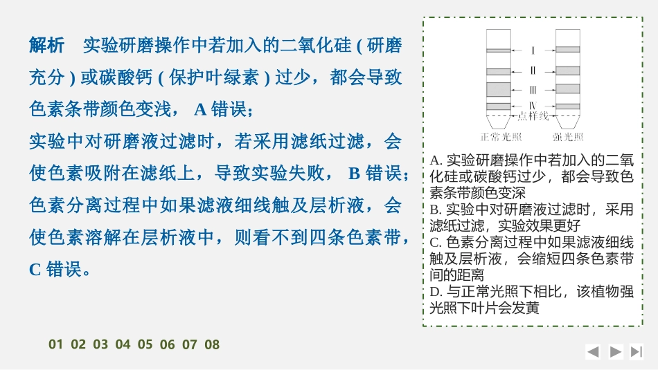 2026创新设计高考总复习生物（人教版）强化练习-限时练11　捕获光能的色素和结构及光合作用的原理.pptx_第3页