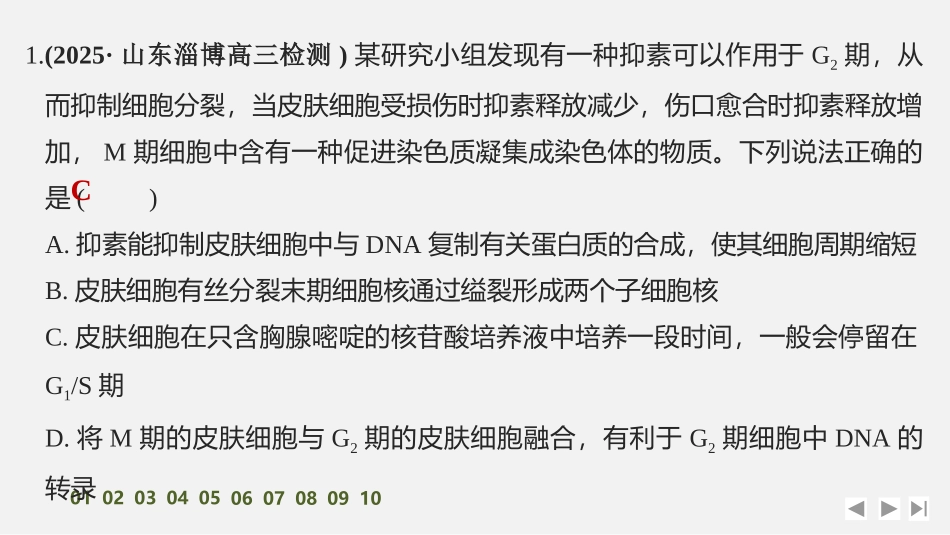 2026创新设计高考总复习生物（人教版）强化练习-限时练14　细胞的增殖.pptx_第2页
