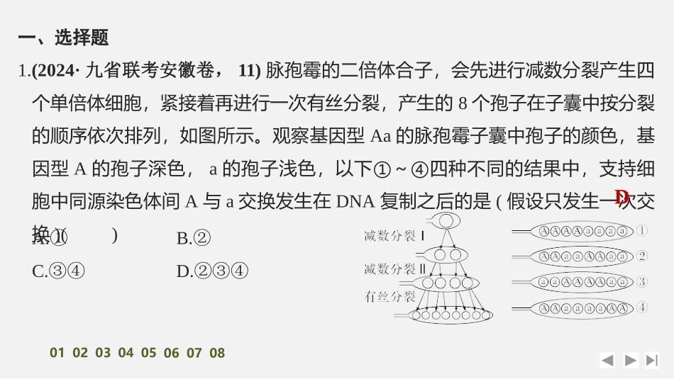 2026创新设计高考总复习生物（人教版）强化练习-限时练15　减数分裂和受精作用.pptx_第2页