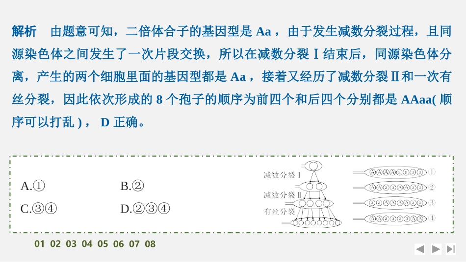 2026创新设计高考总复习生物（人教版）强化练习-限时练15　减数分裂和受精作用.pptx_第3页