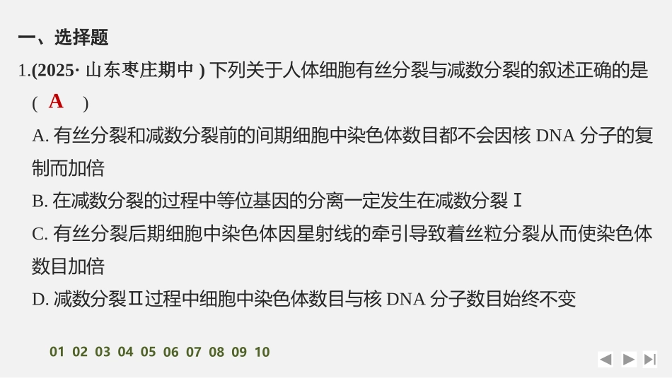 2026创新设计高考总复习生物（人教版）强化练习-限时练16　减数分裂与有丝分裂的比较.pptx_第2页