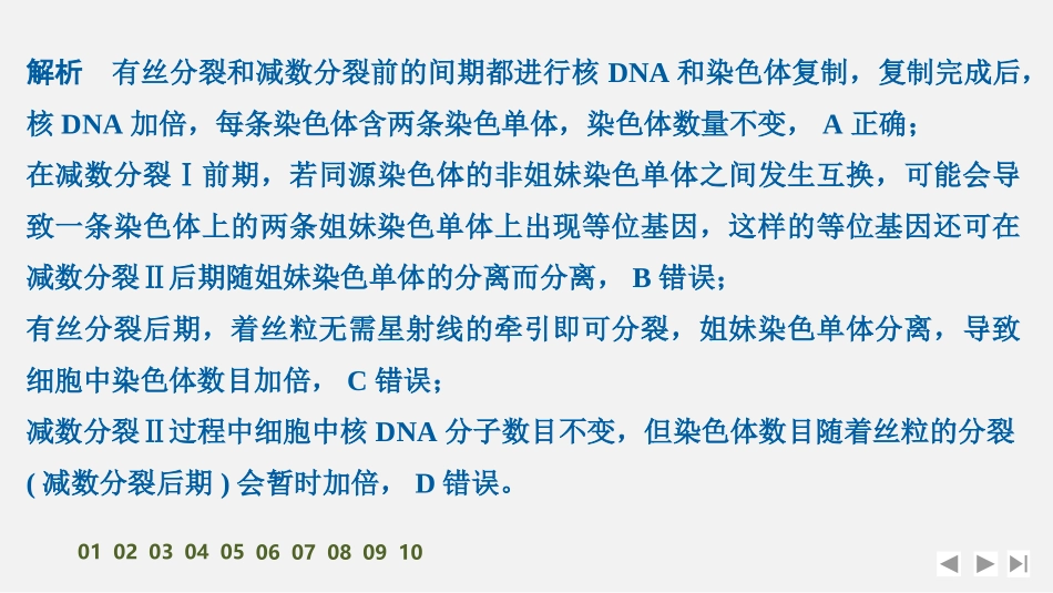 2026创新设计高考总复习生物（人教版）强化练习-限时练16　减数分裂与有丝分裂的比较.pptx_第3页