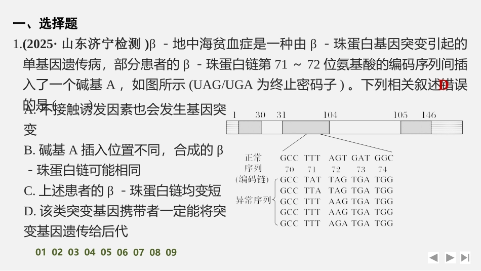 2026创新设计高考总复习生物（人教版）强化练习-限时练26　基因突变与基因重组.pptx_第2页