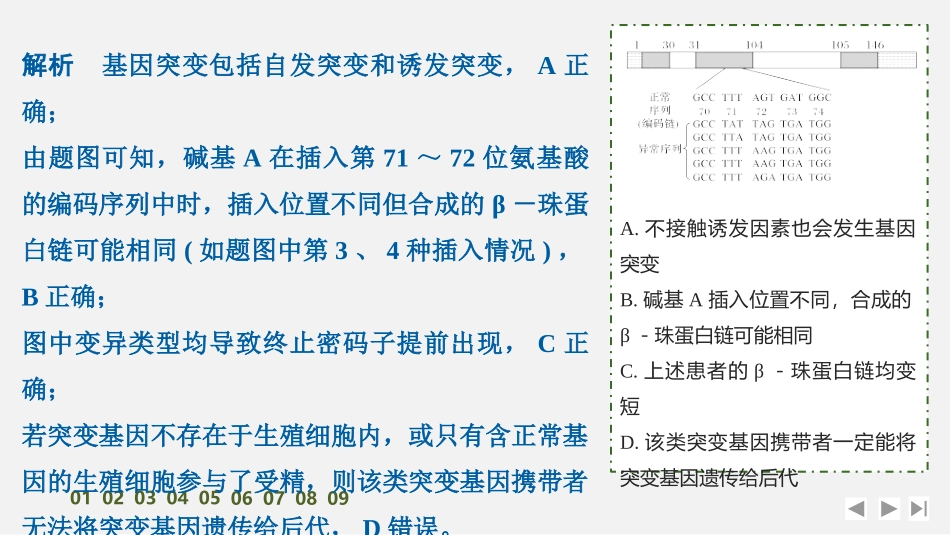 2026创新设计高考总复习生物（人教版）强化练习-限时练26　基因突变与基因重组.pptx_第3页