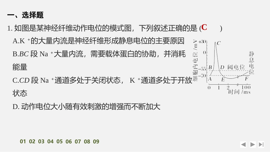 2026创新设计高考总复习生物（人教版）强化练习-限时练31　神经冲动的产生和传导(A组).pptx_第2页