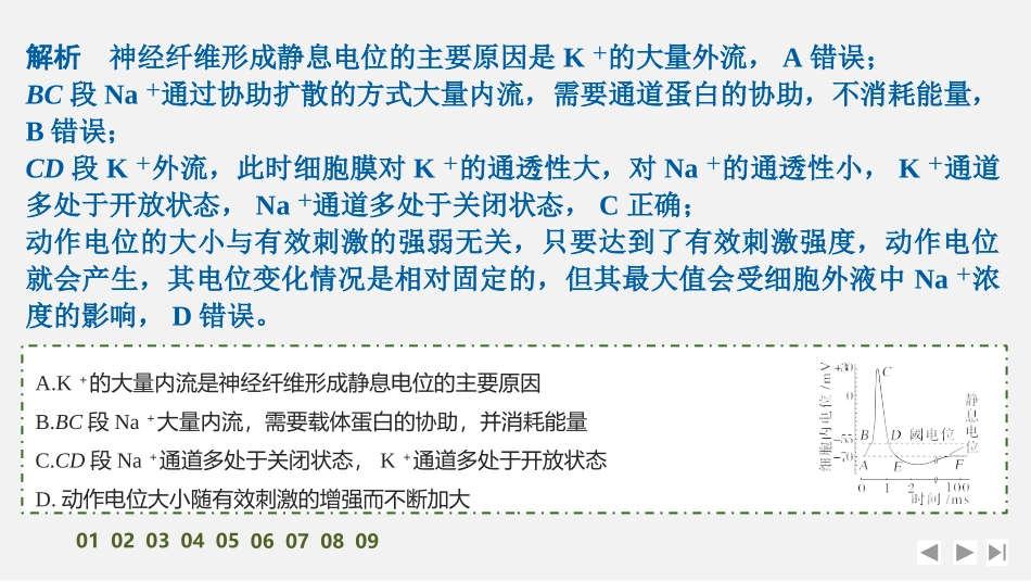 2026创新设计高考总复习生物（人教版）强化练习-限时练31　神经冲动的产生和传导(A组).pptx_第3页