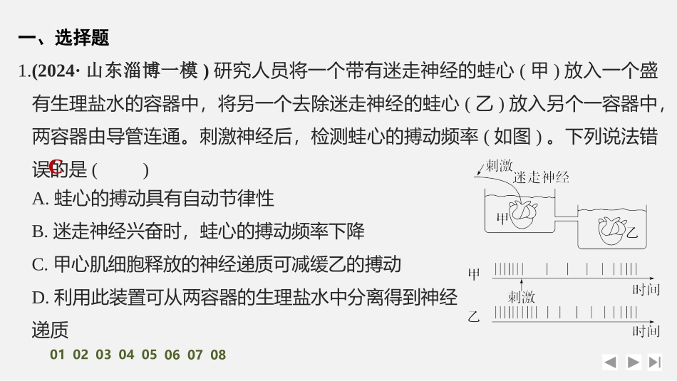 2026创新设计高考总复习生物（人教版）强化练习-限时练31　神经冲动的产生和传导(B组).pptx_第2页
