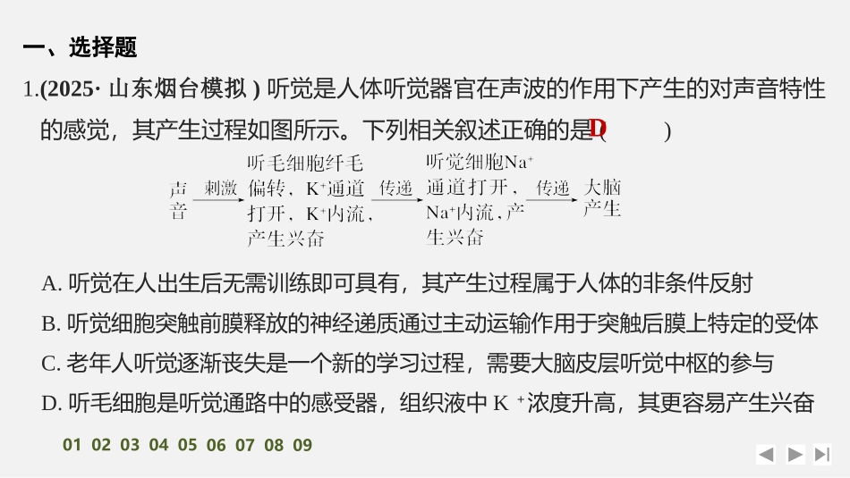 2026创新设计高考总复习生物（人教版）强化练习-限时练32　神经系统的分级调节及人脑的高级功能.pptx_第2页