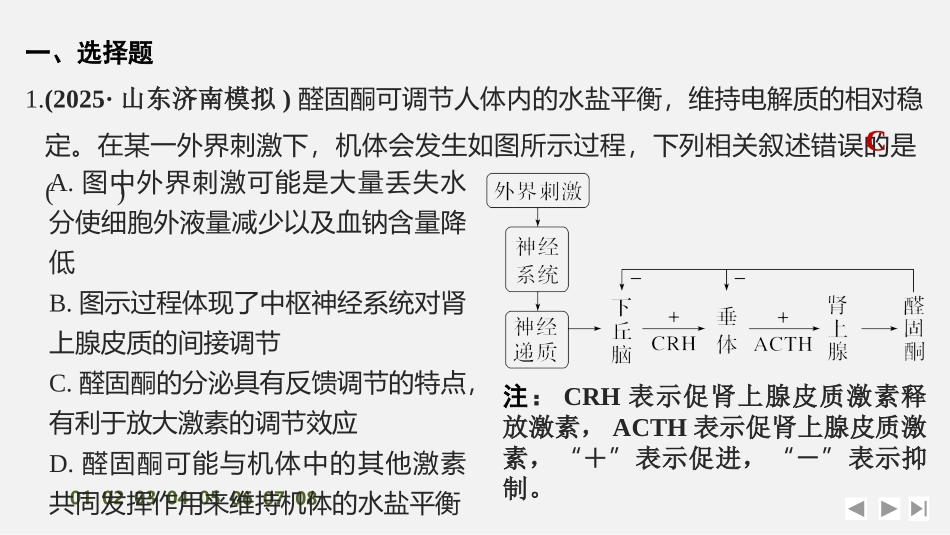 2026创新设计高考总复习生物（人教版）强化练习-限时练34　体液调节与神经调节的关系.pptx_第2页