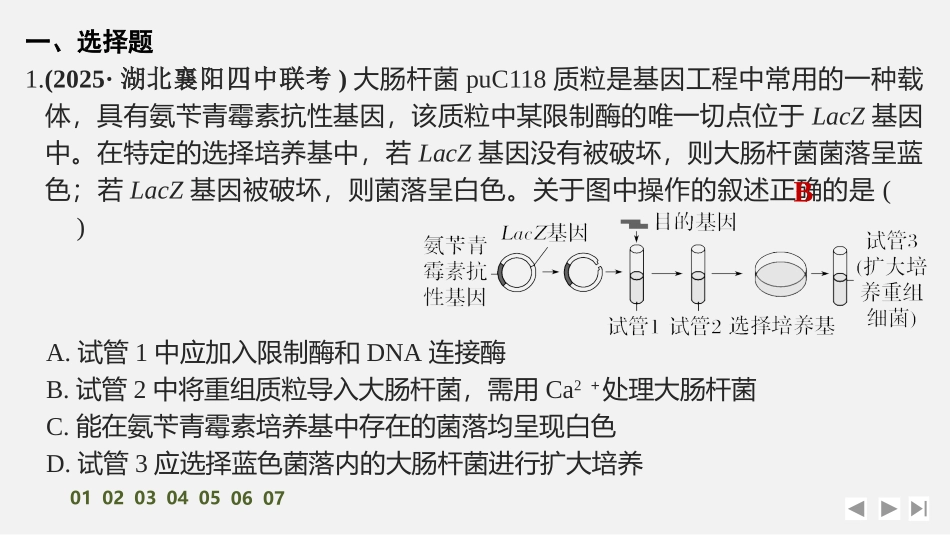 2026创新设计高考总复习生物（人教版）强化练习-限时练51　基因工程的基本工具和操作程序　.pptx_第2页
