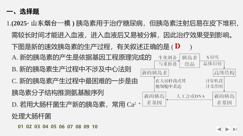 2026创新设计高考总复习生物（人教版）强化练习-限时练52　基因工程的应用、蛋白质工程及生物技术的安全性与伦理问题.pptx_第2页