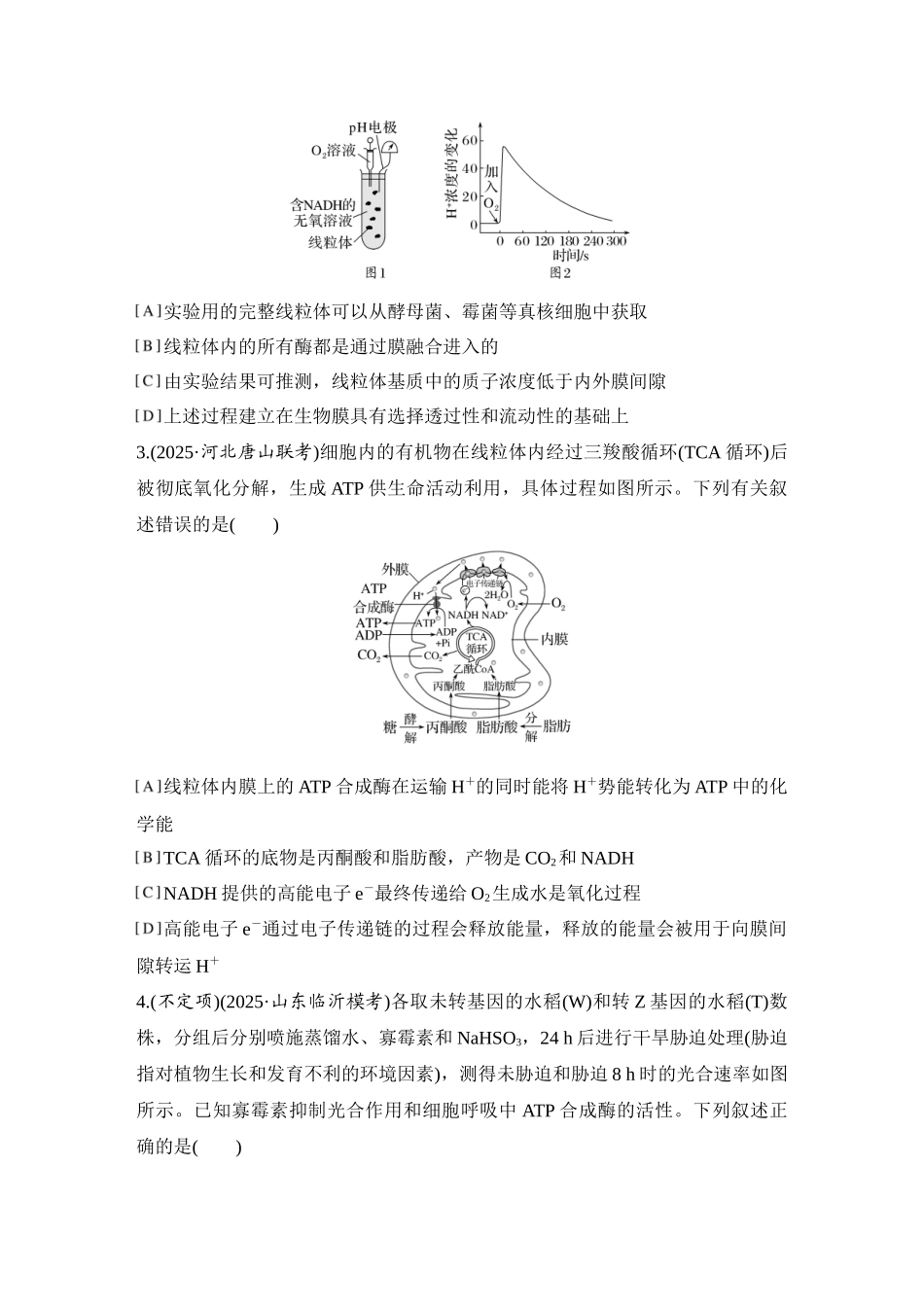 2026创新设计高考总复习生物（人教版）强化练习-专题练5  电子传递链、化学渗透假说及逆境胁迫.docx_第2页