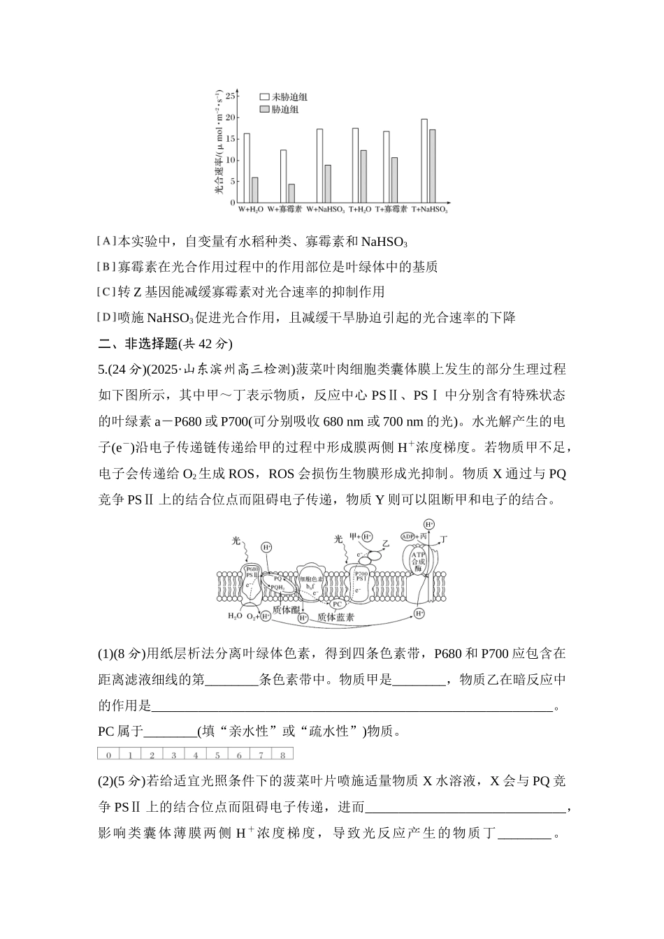 2026创新设计高考总复习生物（人教版）强化练习-专题练5  电子传递链、化学渗透假说及逆境胁迫.docx_第3页