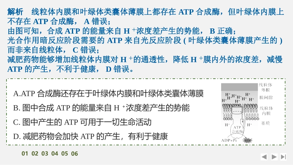 2026创新设计高考总复习生物（人教版）强化练习-专题练5　电子传递链、化学渗透假说及逆境胁迫.pptx_第3页