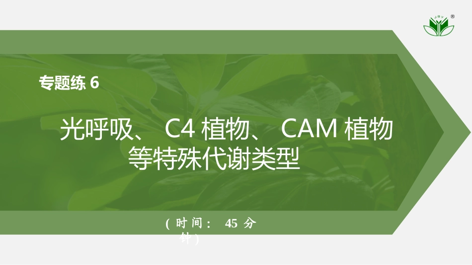 2026创新设计高考总复习生物（人教版）强化练习-专题练6　光呼吸、C4植物、CAM植物等特殊代谢类型.pptx_第1页