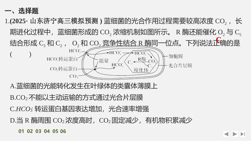 2026创新设计高考总复习生物（人教版）强化练习-专题练6　光呼吸、C4植物、CAM植物等特殊代谢类型.pptx_第2页