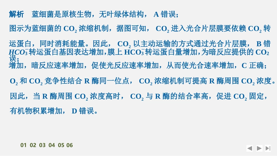 2026创新设计高考总复习生物（人教版）强化练习-专题练6　光呼吸、C4植物、CAM植物等特殊代谢类型.pptx_第3页