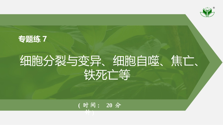 2026创新设计高考总复习生物（人教版）强化练习-专题练7　细胞分裂与变异、细胞自噬、焦亡、铁死亡等.pptx_第1页