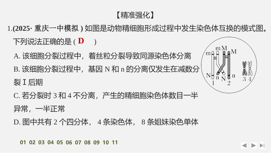 2026创新设计高考总复习生物（人教版）强化练习-专题练7　细胞分裂与变异、细胞自噬、焦亡、铁死亡等.pptx_第2页