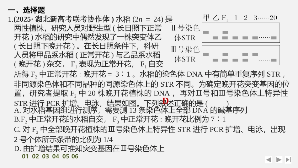 2026创新设计高考总复习生物（人教版）强化练习-专题练12　基因定位(进阶).pptx_第2页