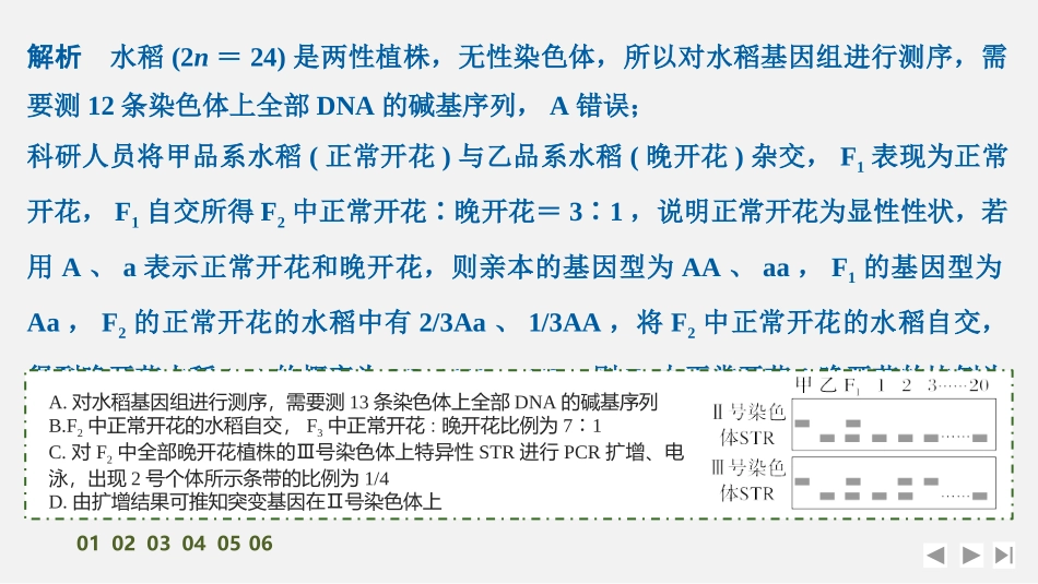 2026创新设计高考总复习生物（人教版）强化练习-专题练12　基因定位(进阶).pptx_第3页