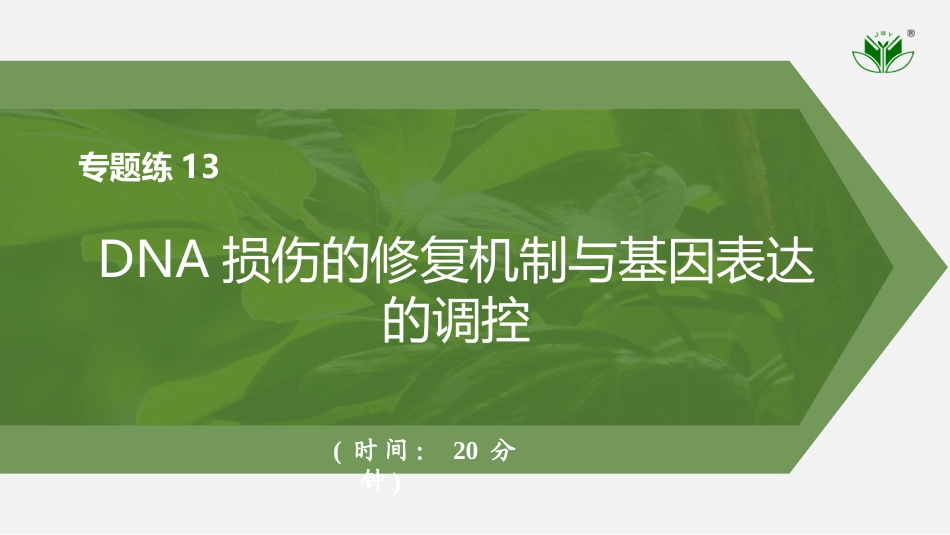 2026创新设计高考总复习生物（人教版）强化练习-专题练13　DNA损伤的修复机制与基因表达的调控.pptx_第1页