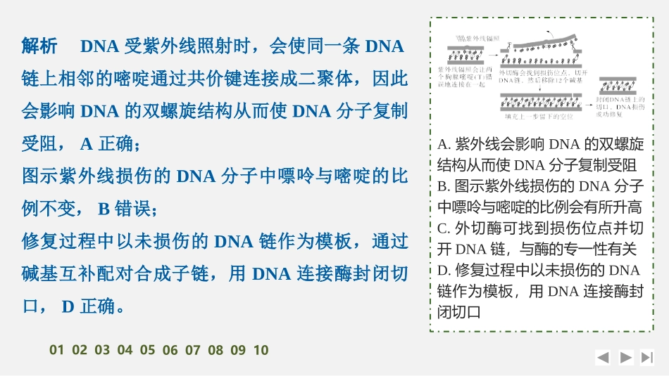 2026创新设计高考总复习生物（人教版）强化练习-专题练13　DNA损伤的修复机制与基因表达的调控.pptx_第3页