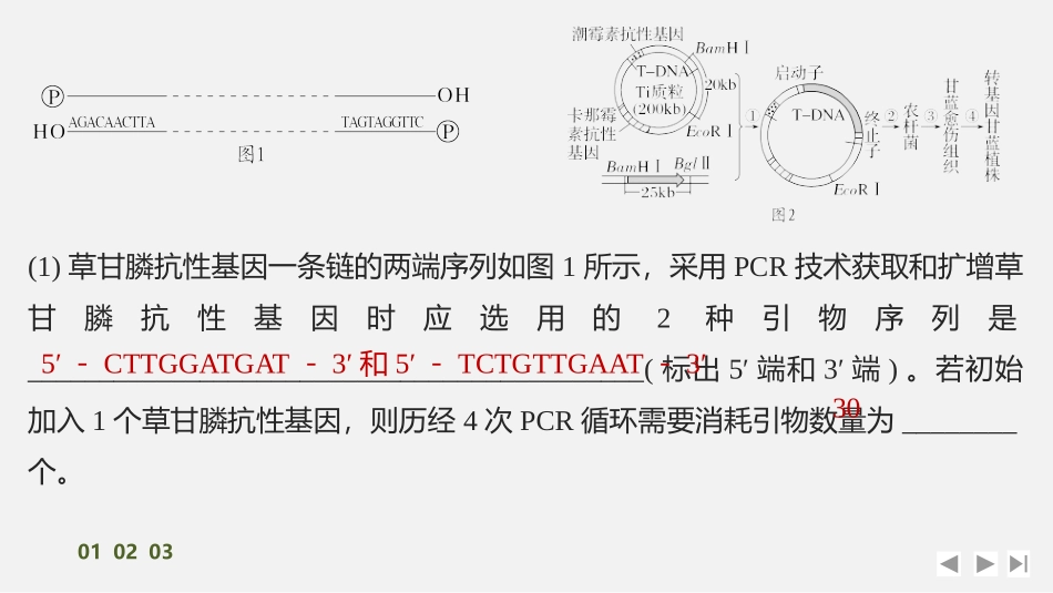 2026创新设计高考总复习生物（人教版）强化练习-专题练15　RT－PCR、反向PCR与PCR定点诱变技术　.pptx_第3页