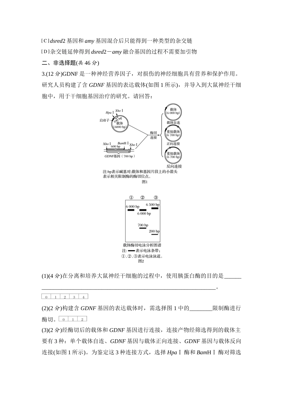 2026创新设计高考总复习生物（人教版）强化练习-专题练16  CRISPRCas9基因编辑、融合基因与融合蛋白、单酶切导致的正、反接的电泳检测和PCR检测.docx_第2页